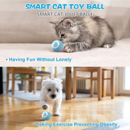 Bolinha Interativa Automática Para Gatos – Recarregável USB